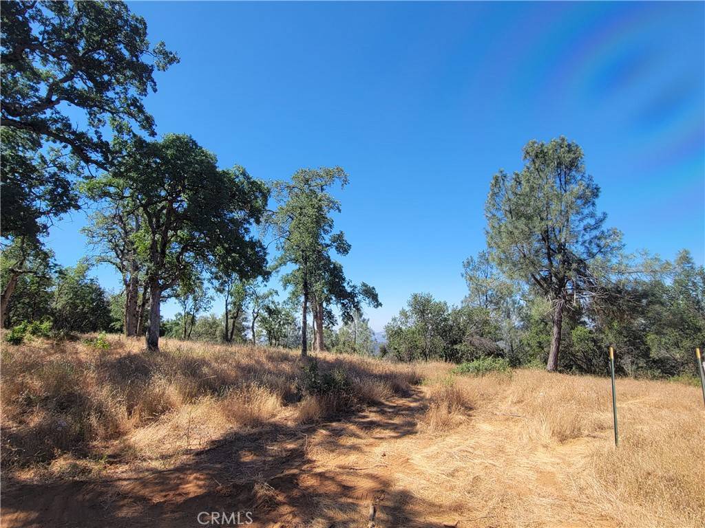 Mariposa, CA 95338,5587 Alta Vista RD