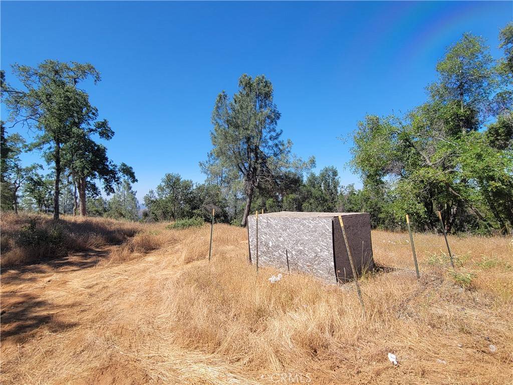 Mariposa, CA 95338,5587 Alta Vista RD