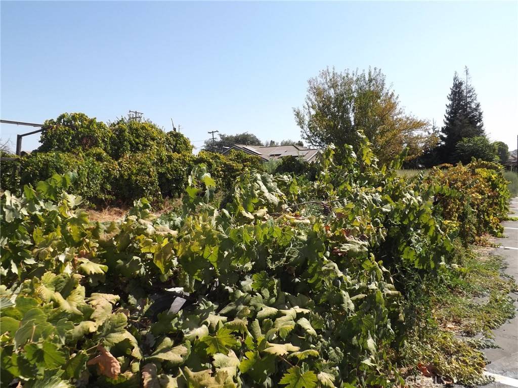 Atwater, CA 95301,1400 Shaffer RD
