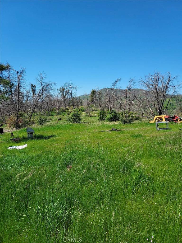 Mariposa, CA 95338,3109 Wild Dove LN