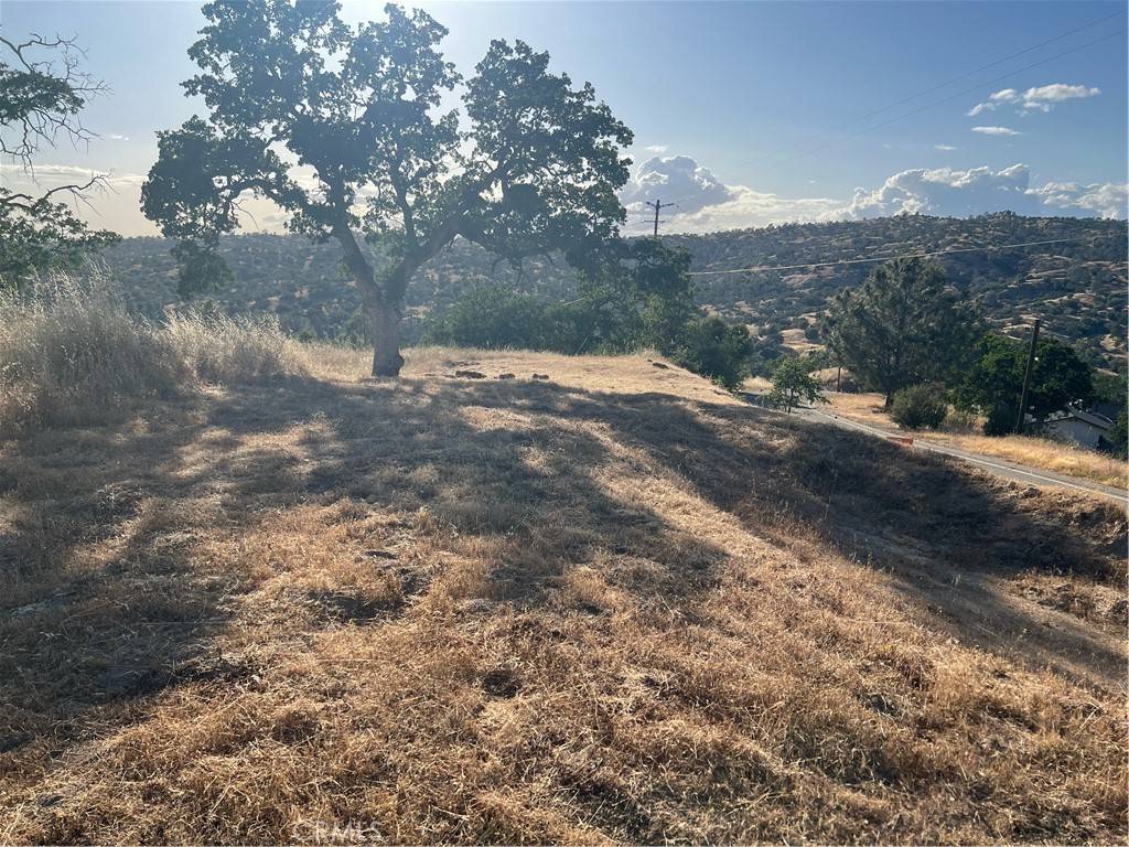 Coarsegold, CA 93614,1578 Lilley Mountain DR