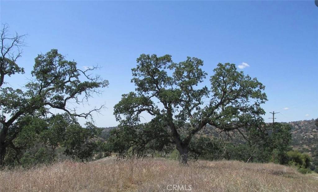 Coarsegold, CA 93614,1578 Lilley Mountain DR
