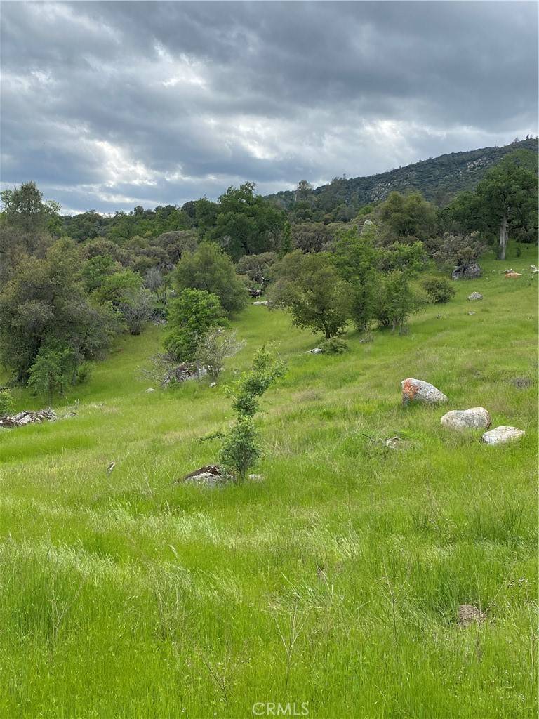 O'neals, CA 93645,0 RD 236