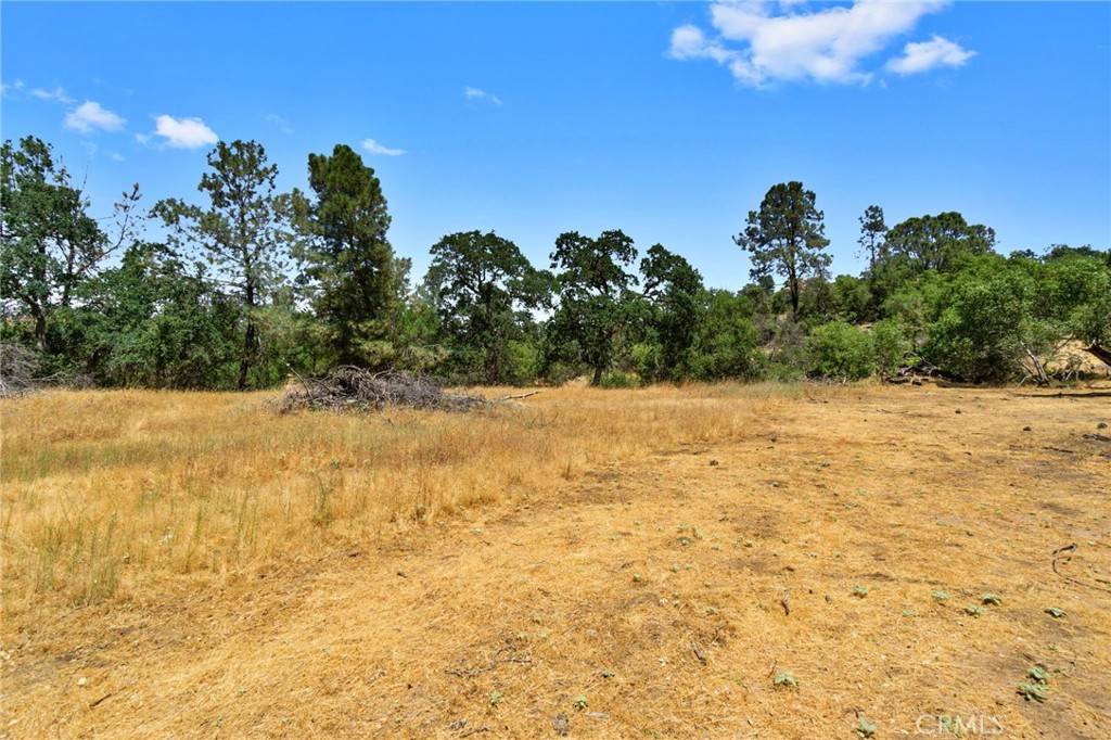 Coarsegold, CA 93614,1812 Sentinel CT