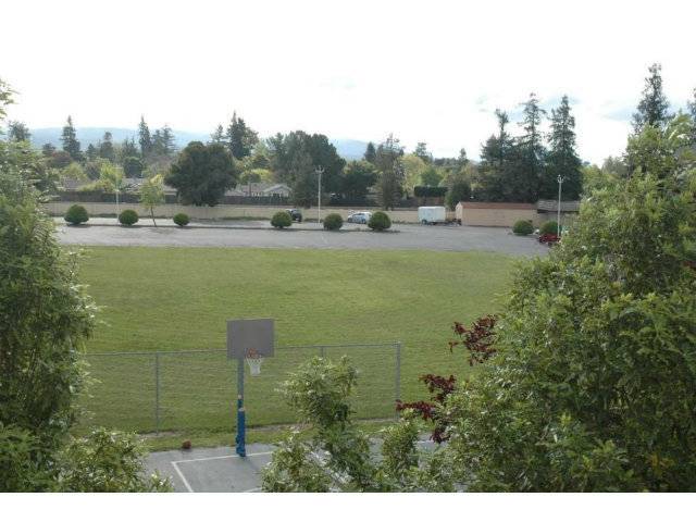 Campbell, CA 95008,123 DOT AVE