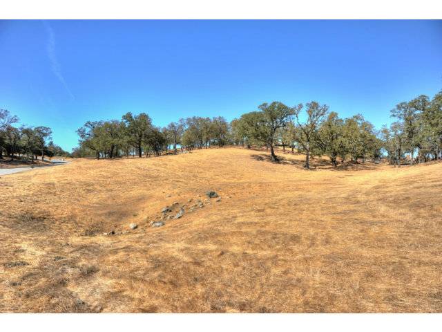 Portola Valley, CA 94028,3 BUCK MEADOW DR