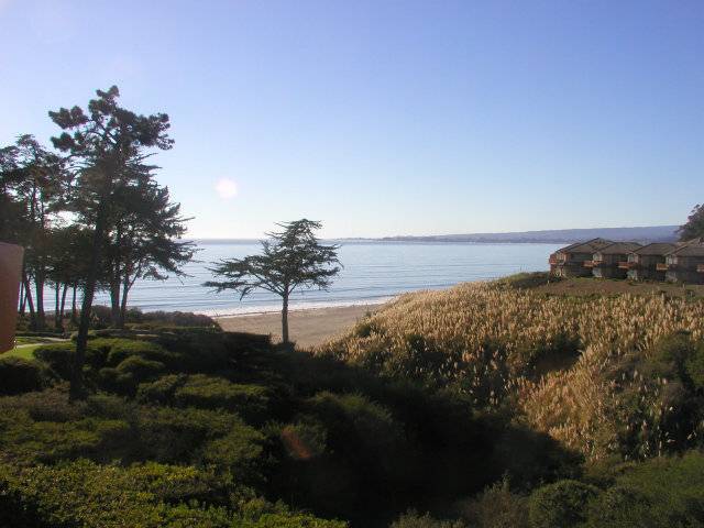 Aptos, CA 95003,303 SEASCAPE RESORT DR