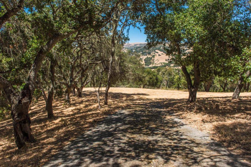 Carmel Valley, CA 93924,17 Sleepy Hollow DR