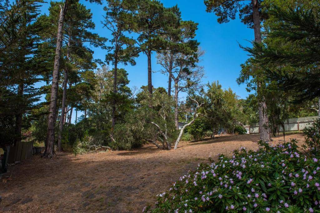 Carmel Highlands, CA 93923,0 OAK WAY