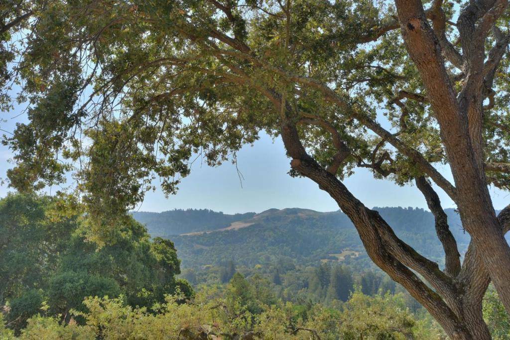 Portola Valley, CA 94028,Address not disclosed