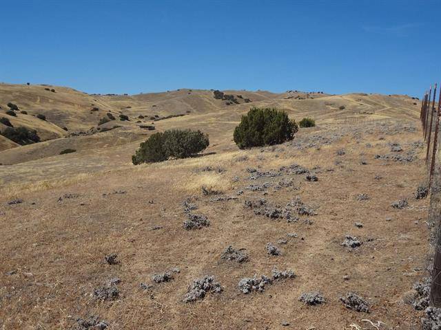 Paicines, CA 95043,0 Willow Springs