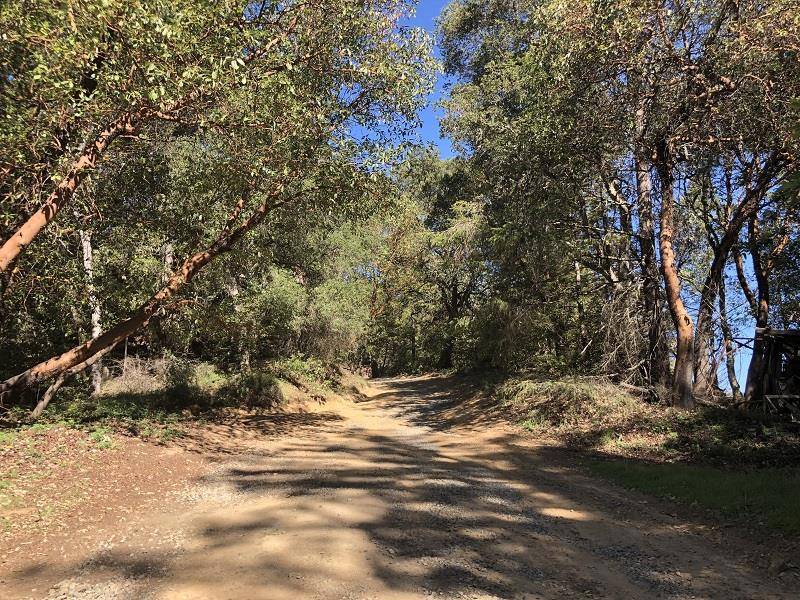 Boulder Creek, CA 95006,18365 Bear Creek RD