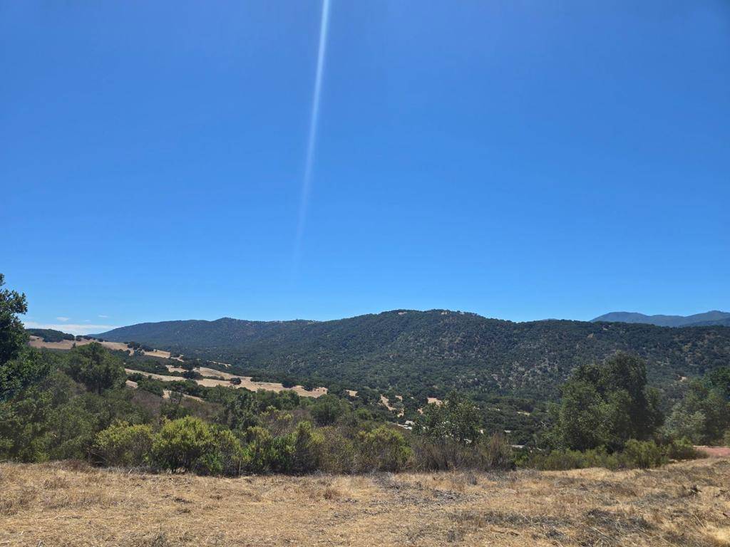 Carmel Valley, CA 93924,350 VIA LOS TULARES