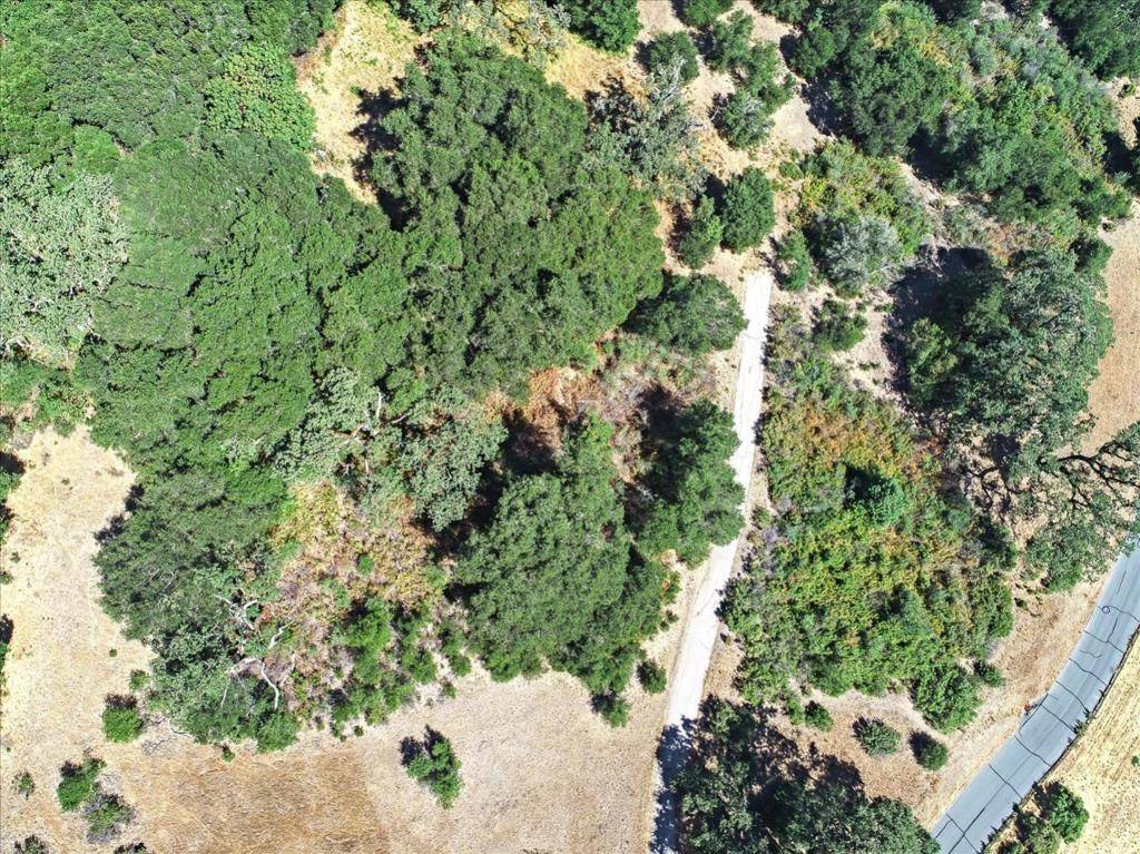 Carmel, CA 93923,6 Arroyo Sequoia