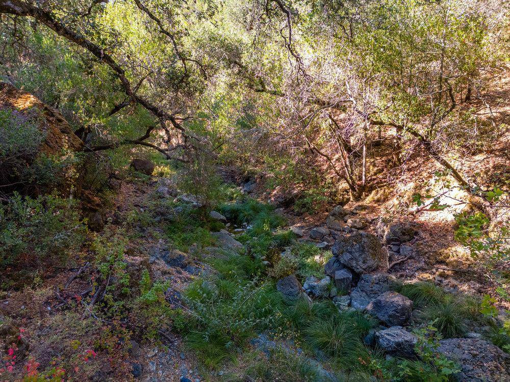 0 Pacheco Pass Hwy Gilroy, CA 95020