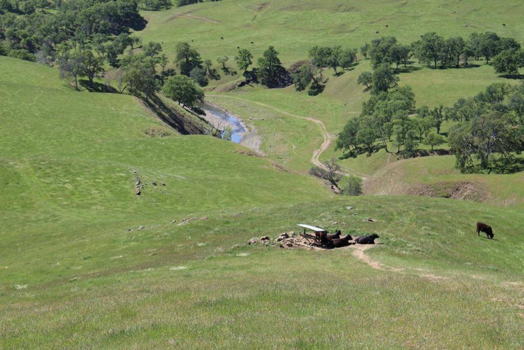 Igo, CA 96047,1 McAuliffe Road