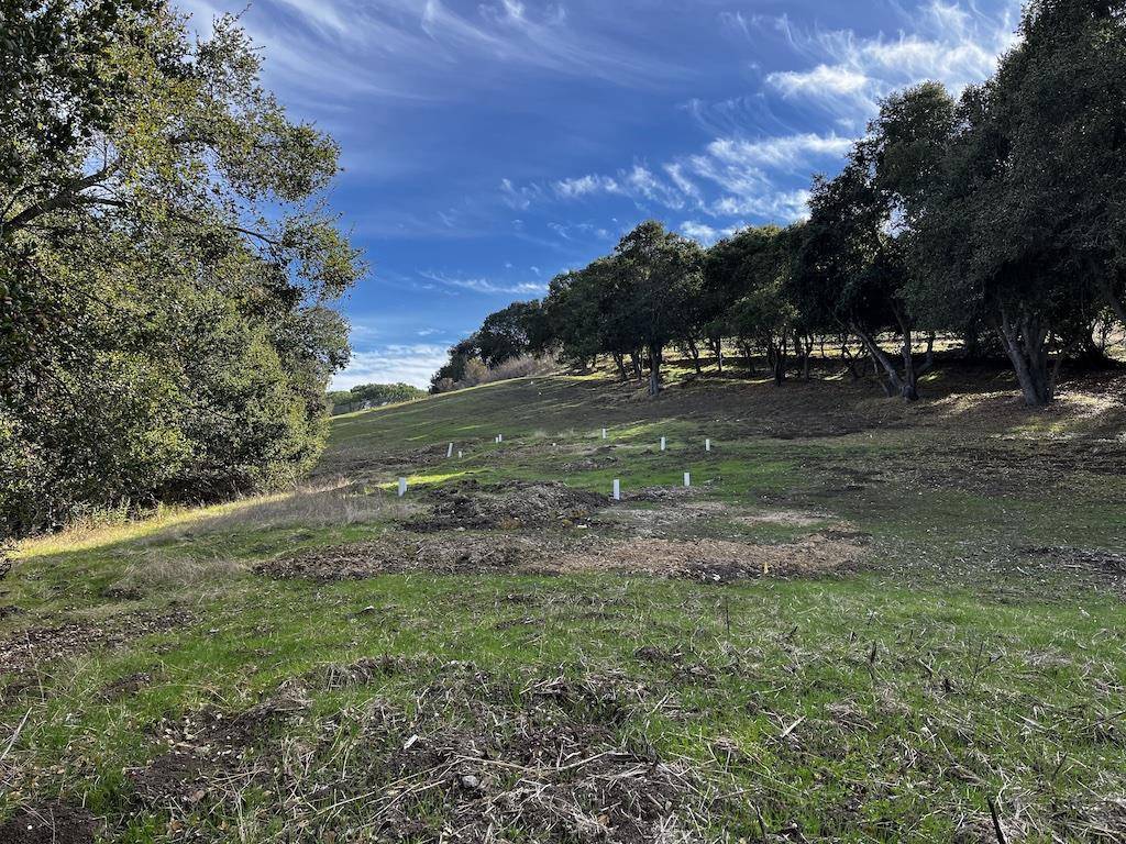 Los Altos Hills, CA 94022,27360 Elena RD