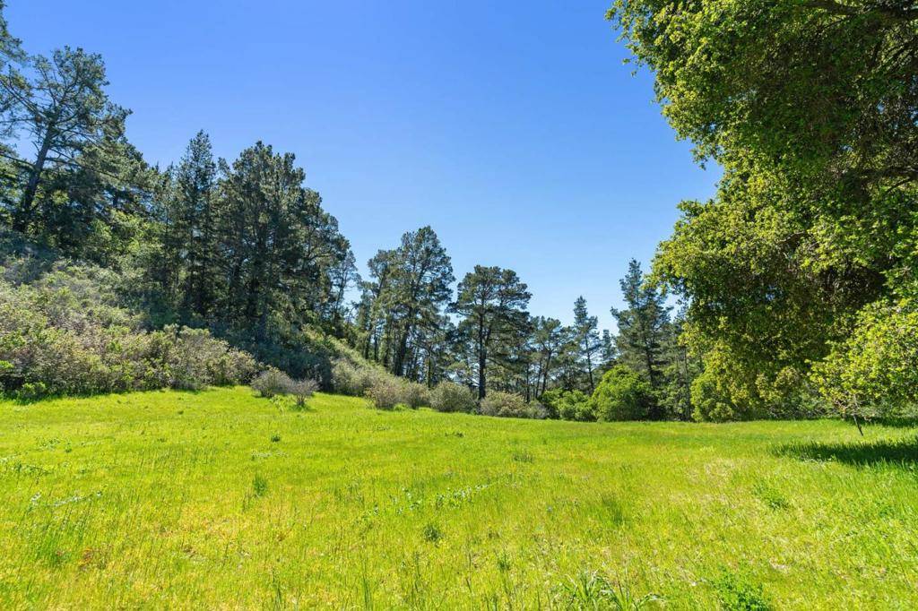 Carmel, CA 93923,20 Tehama (Lot 38)