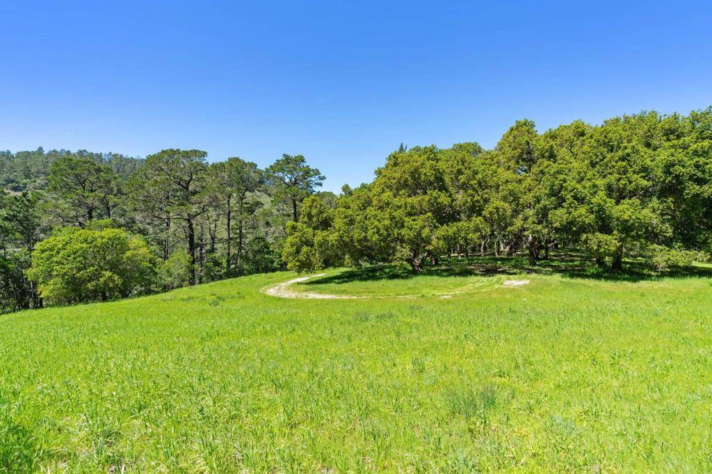 Carmel, CA 93923,20 Tehama (Lot 38)