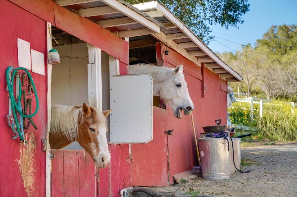 Saratoga, CA 95070,22200 Mount Eden RD
