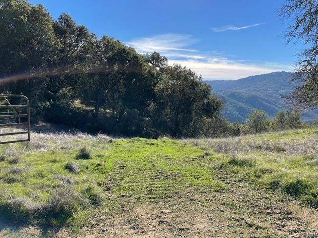 Morgan Hill, CA 95037,0 Poli Road