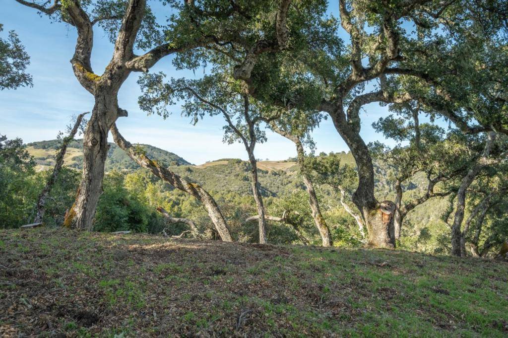 Carmel, CA 93923,5 Vasquez Trail (Lot 170)