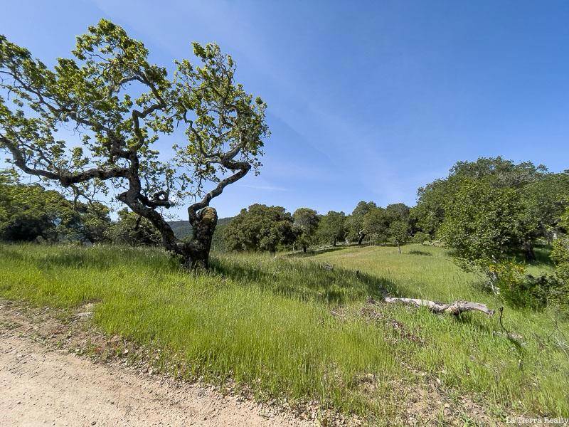 Carmel Valley, CA 93924,14 Upper Circle