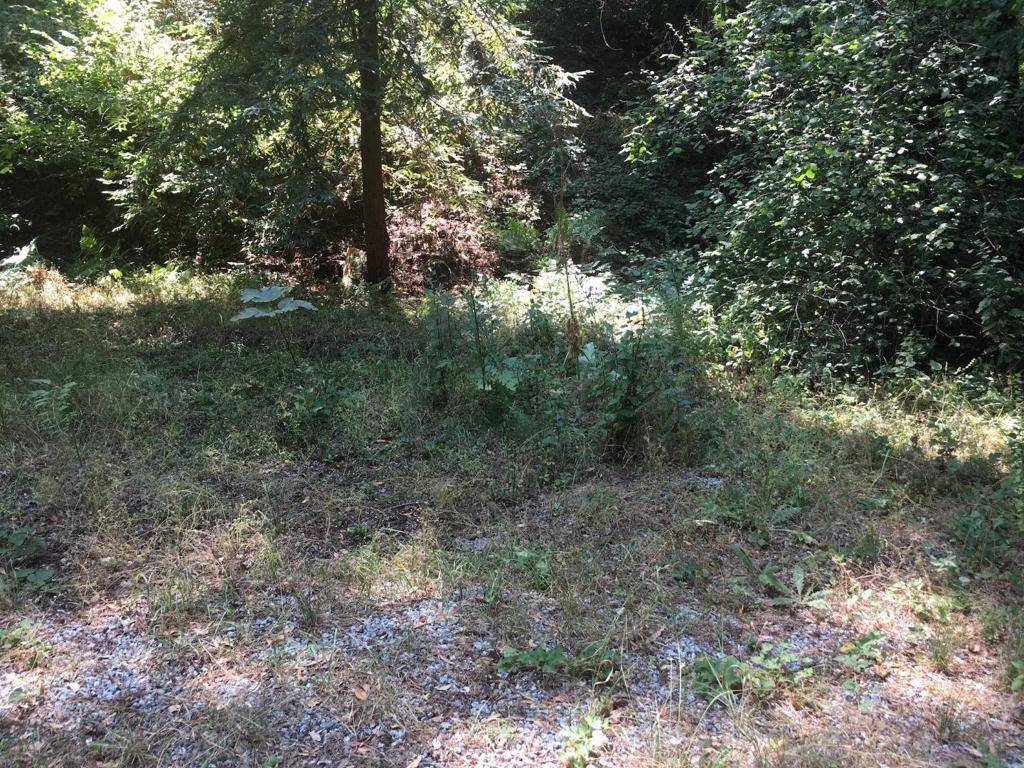 Scotts Valley, CA 95066,0 Homestead TRL