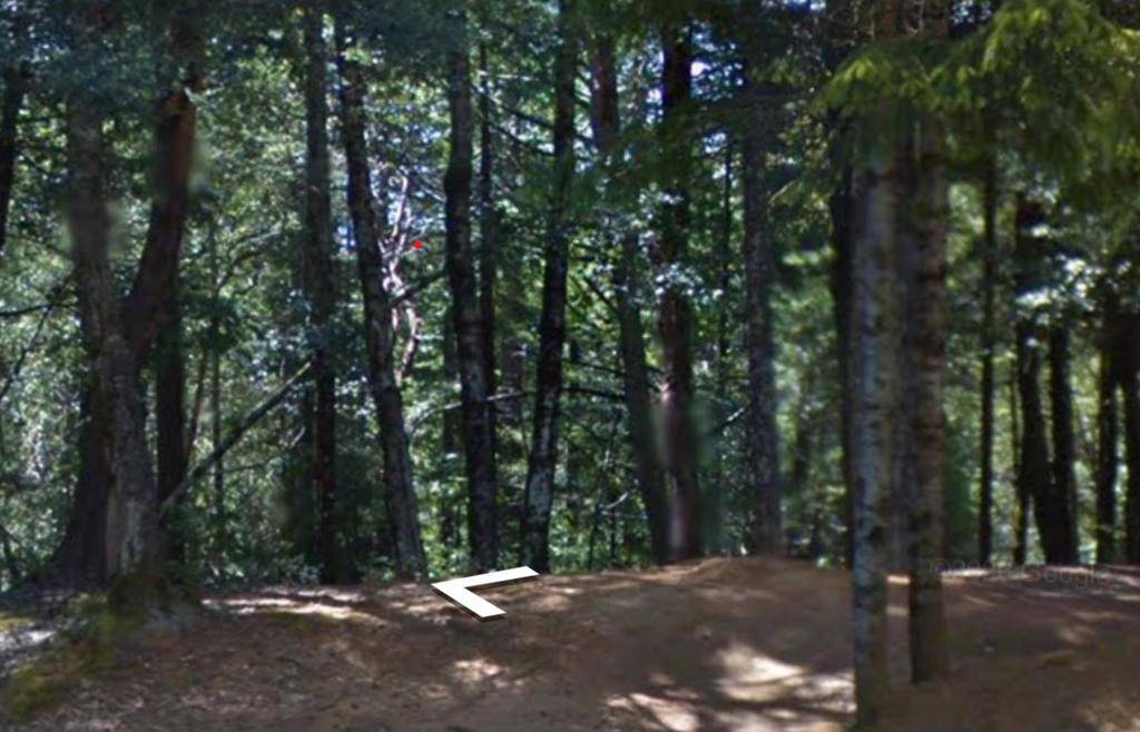 Willits, CA 95490,24831 Goose Pl