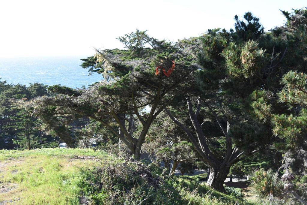 Carmel Highlands, CA 93923,0 Spindrift RD