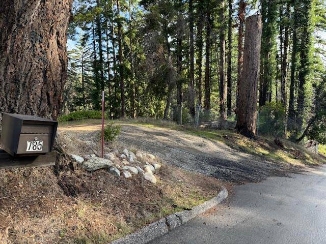 Boulder Creek, CA 95006,785 Summit DR