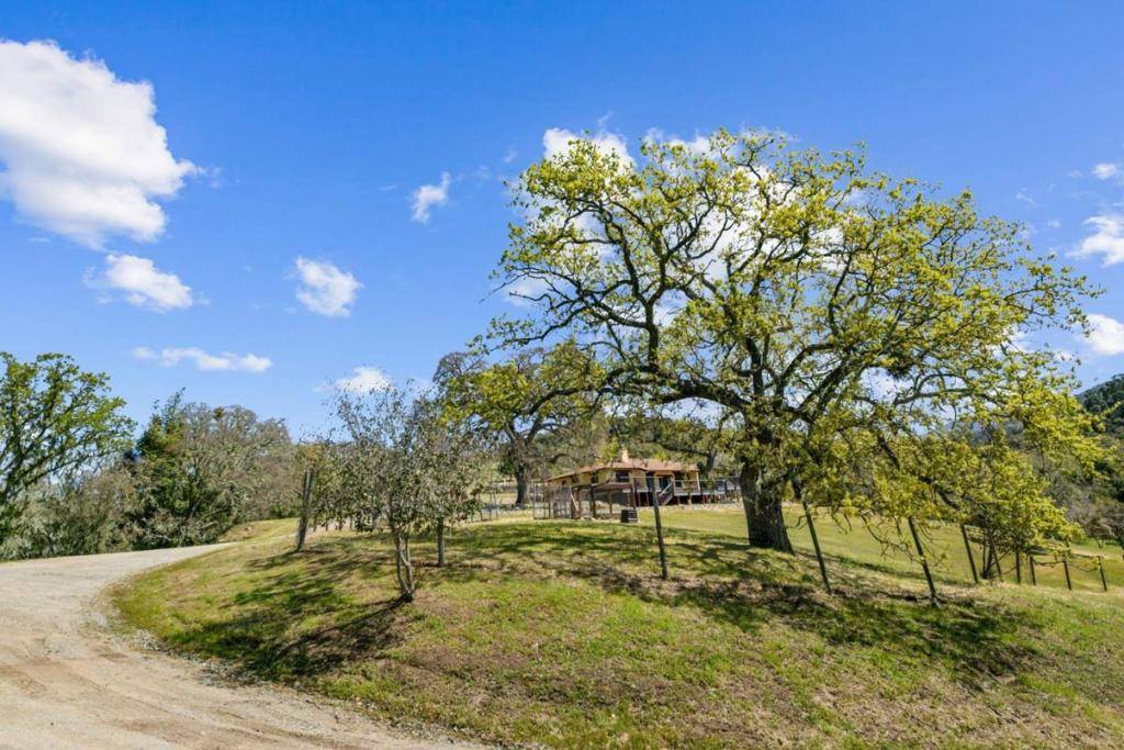 Carmel Valley, CA 93924,20520 Cachagua RD