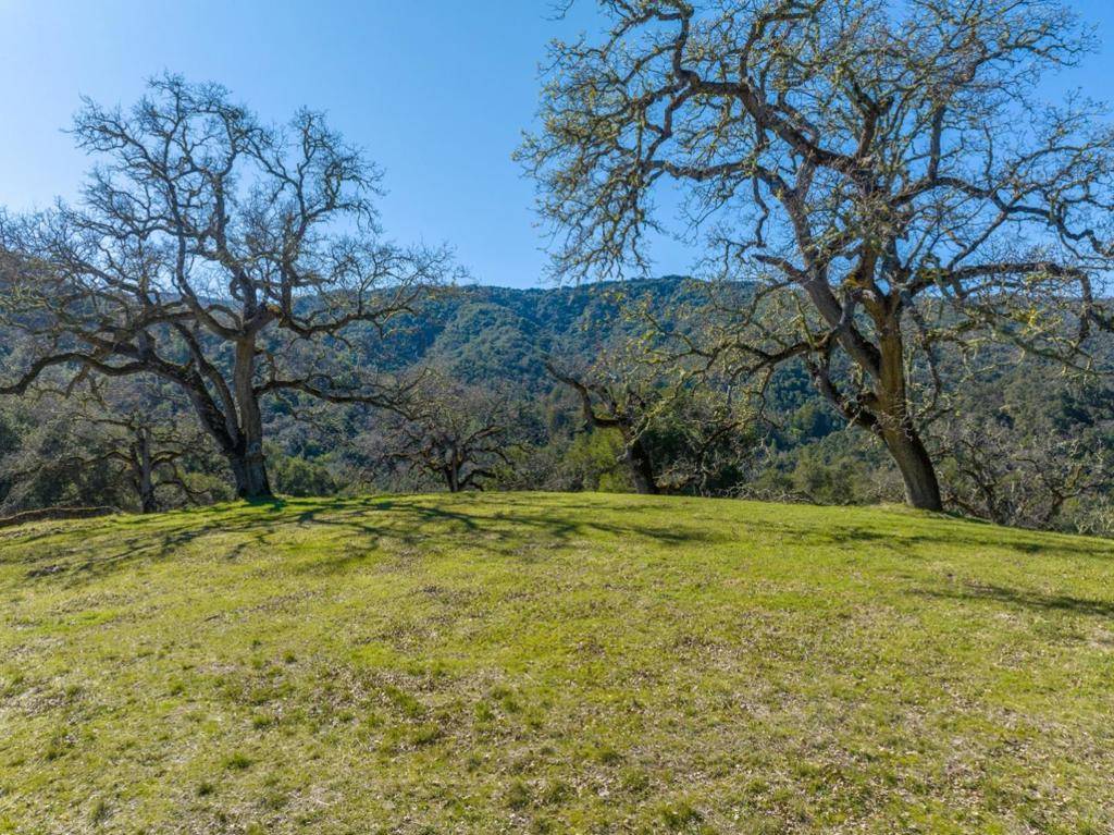 Carmel, CA 93923,25 Arroyo Sequoia (Lot 108)