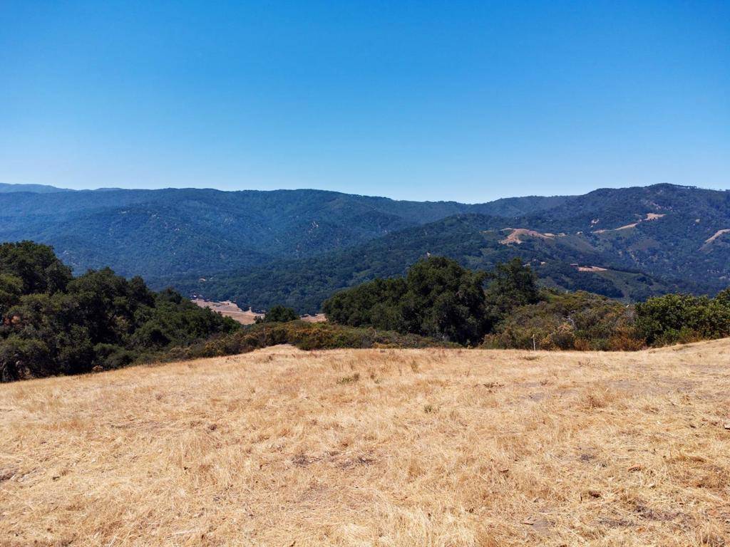 Carmel, CA 93923,57 Chamisal