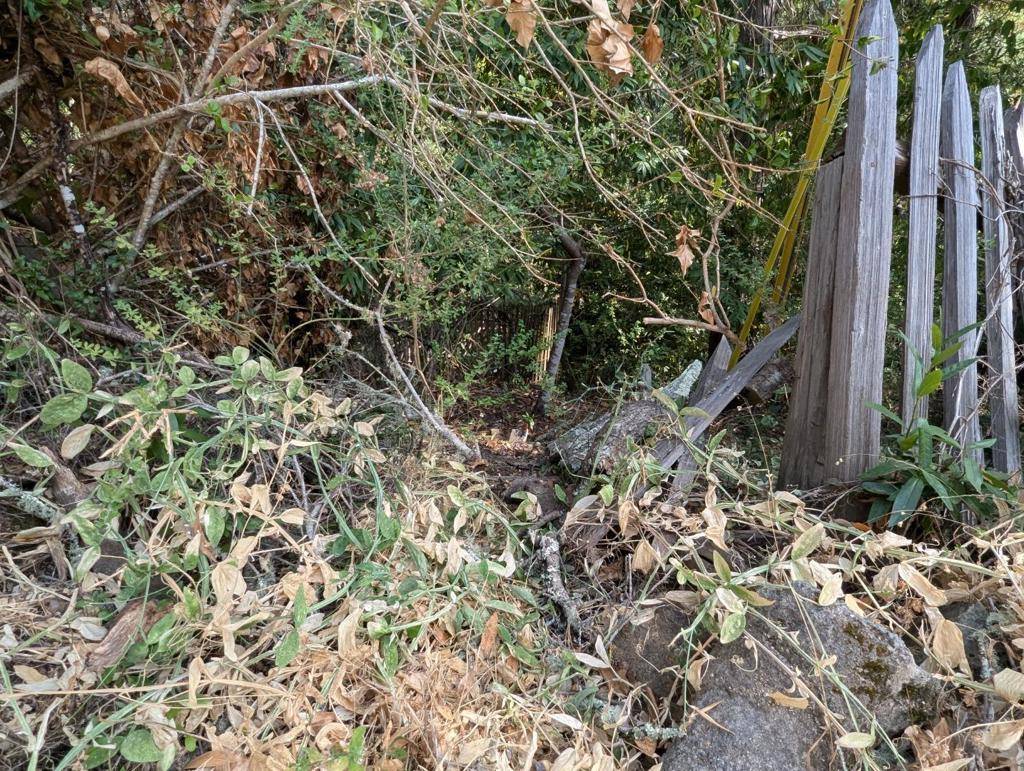 Los Gatos, CA 95033,0 Glenwood
