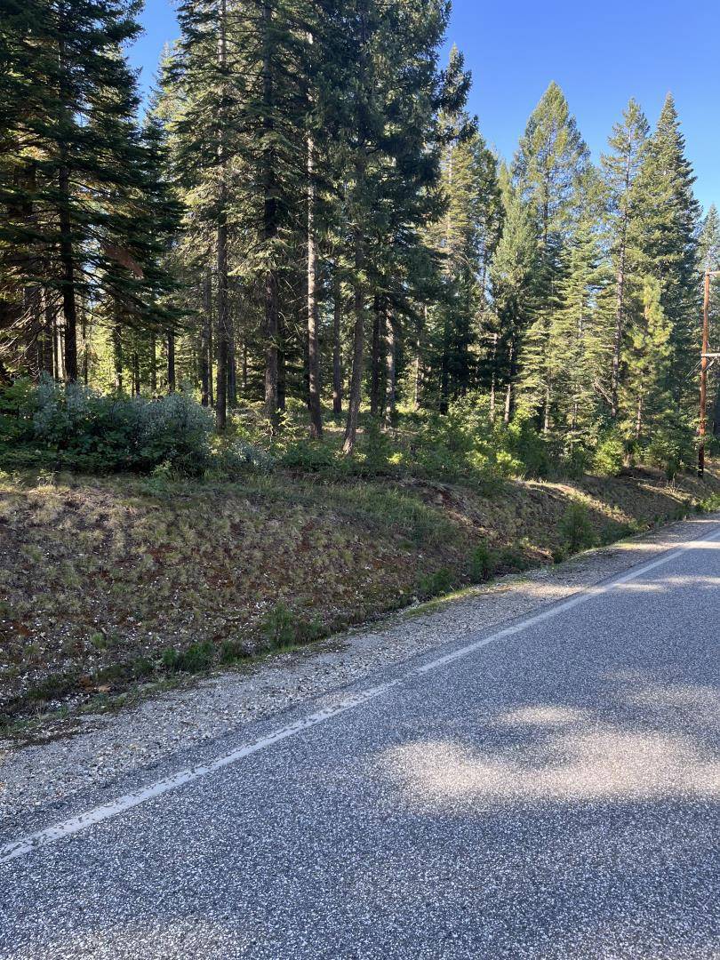 Nevada City, CA 95959,14695 Red Dog RD