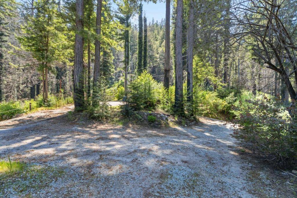 Boulder Creek, CA 95006,111 Aspen LN