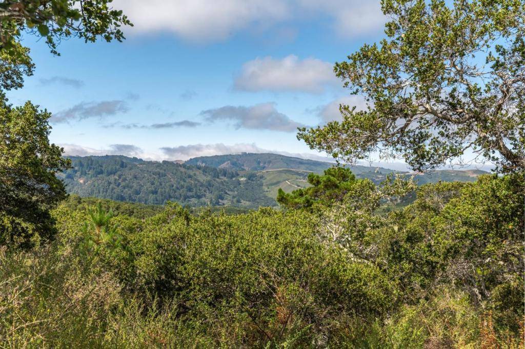 Carmel, CA 93923,9 Corral (Lot D3) RUN