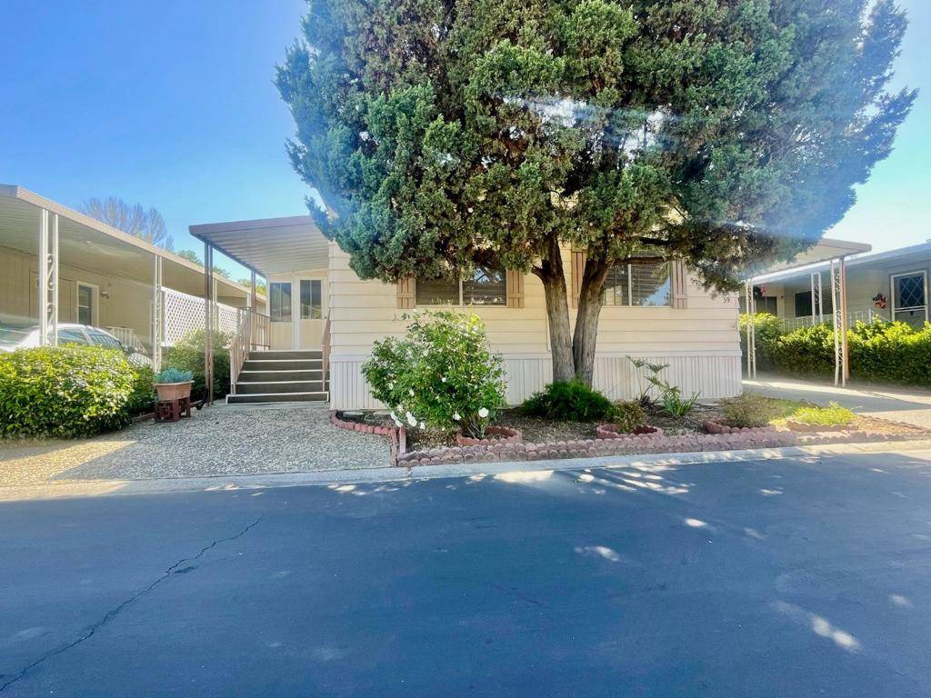 Morgan Hill, CA 95037,39 Walnut