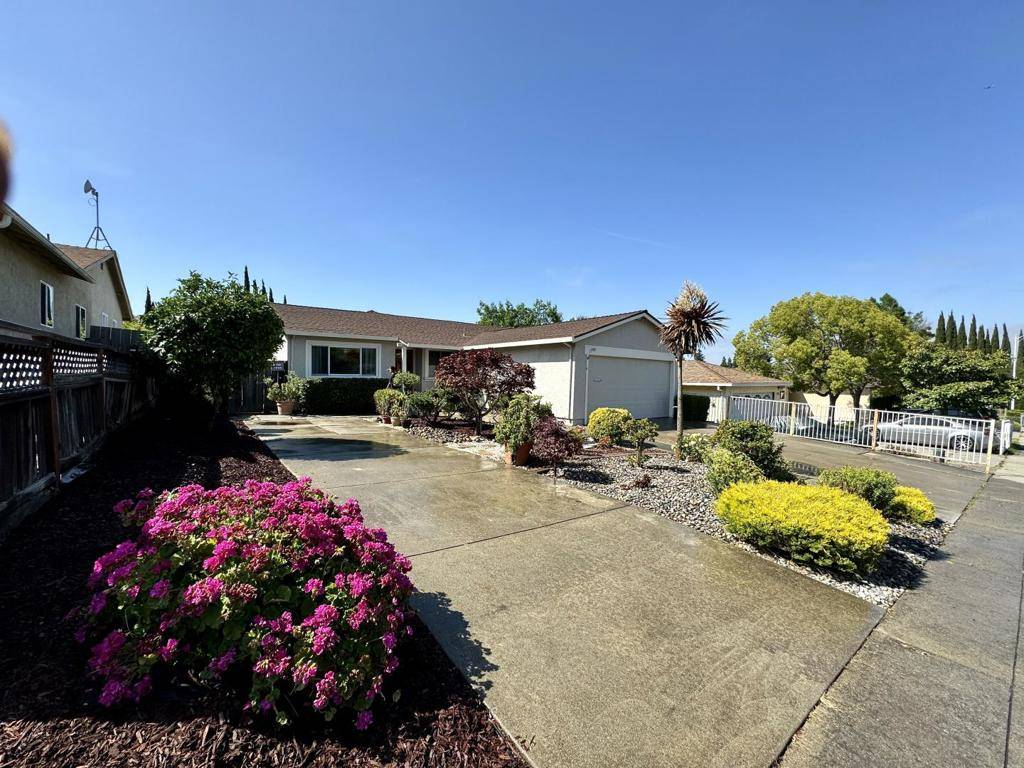 Milpitas, CA 95035,1794 View DR