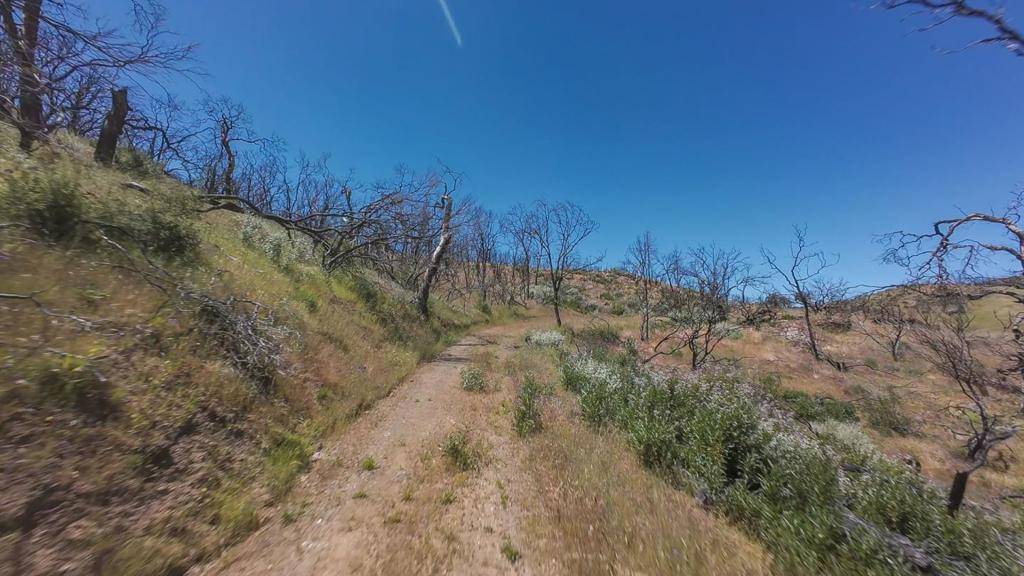 San Jose, CA 95140,48015 Mines RD