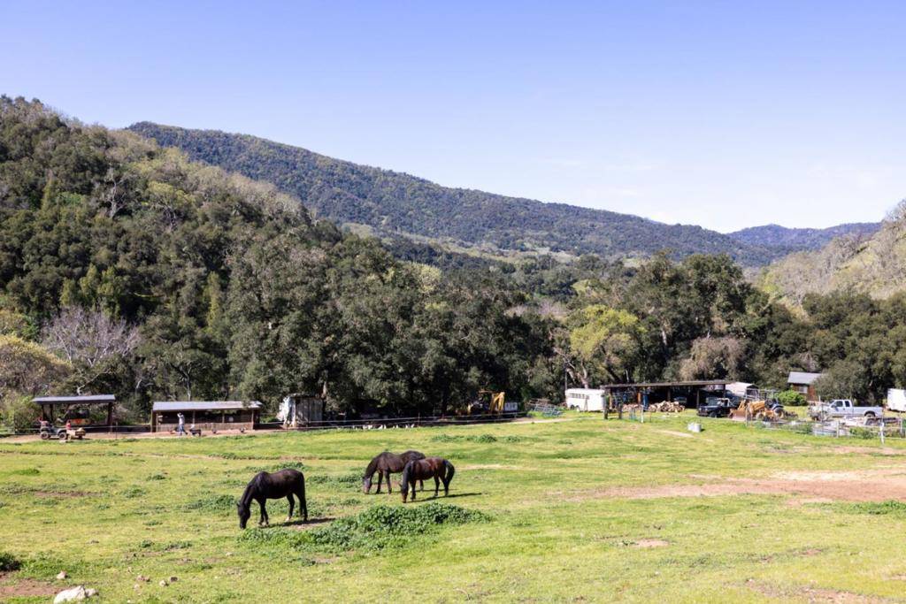 Carmel Valley, CA 93924,20215 Cachagua RD