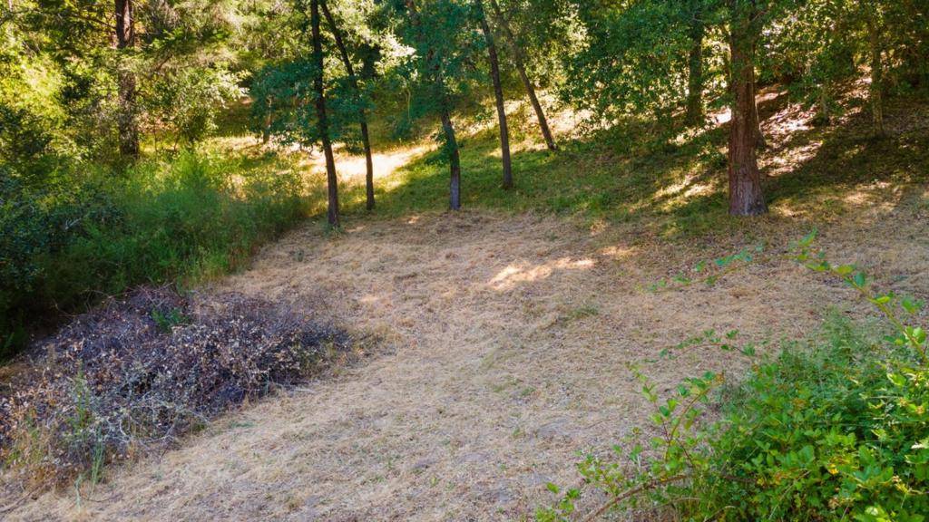 Boulder Creek, CA 95006,15971 Forest Hill DR