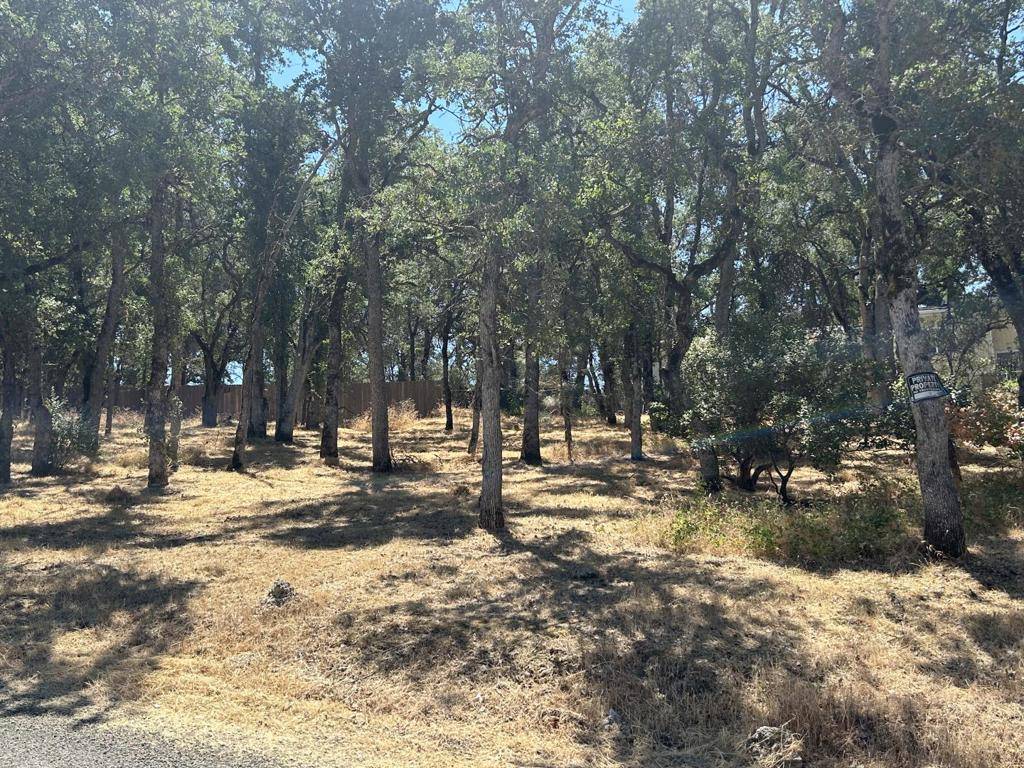 Clearlake, CA 95422,15583 33rd AVE