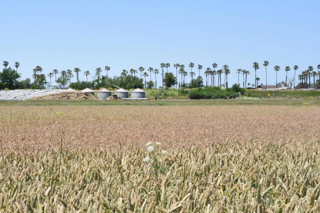 Isleton, CA 95641,16637 Tyler Island Road
