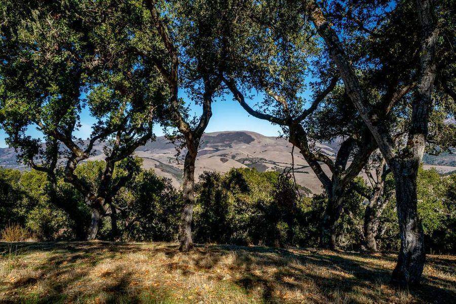 Carmel Valley, CA 93924,17114 Cachagua RD