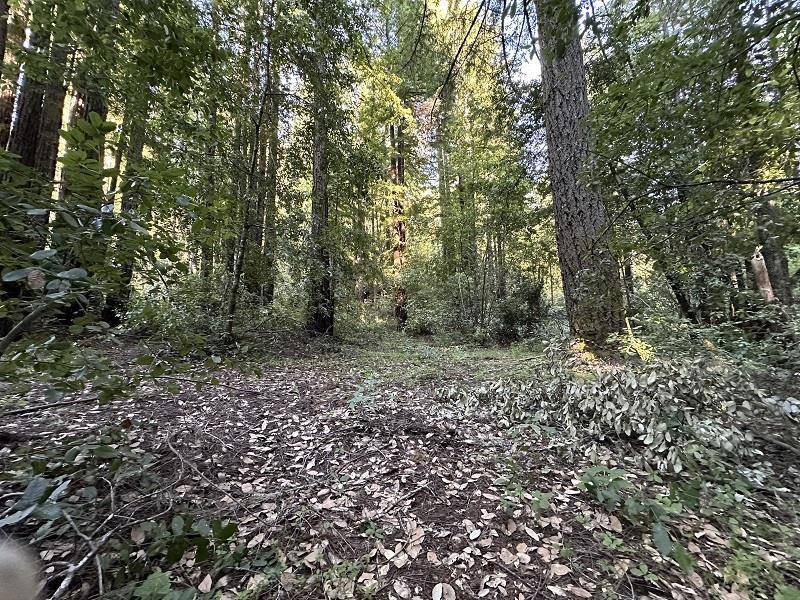 Boulder Creek, CA 95006,0 Logan Creek RD