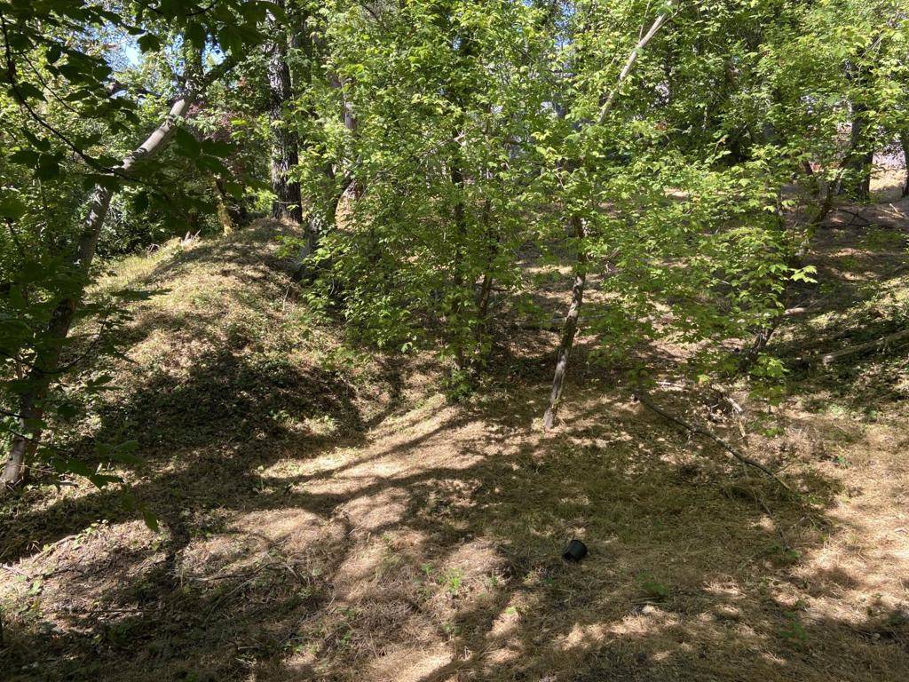 Scotts Valley, CA 95066,0 Vine Hill School RD