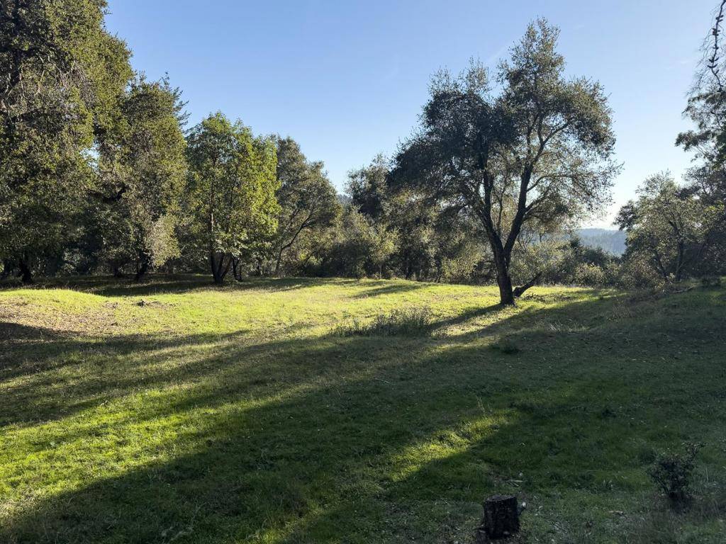 Los Gatos, CA 95033,0 Spanish Ranch RD