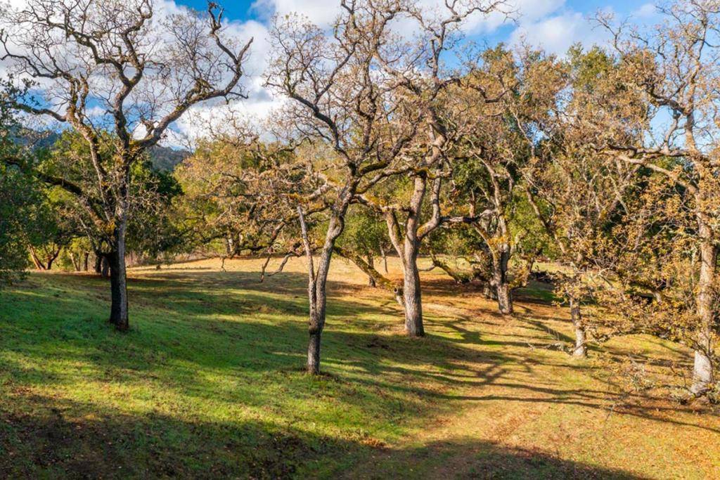 Carmel, CA 93923,36 Arroyo Sequoia (Lot 117)